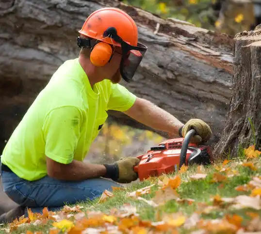 tree services Newton Grove